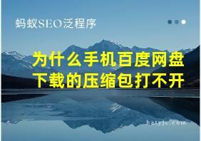 为什么手机百度网盘下载的压缩包打不开