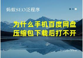 为什么手机百度网盘压缩包下载后打不开