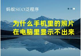 为什么手机里的照片在电脑里显示不出来