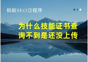 为什么技能证书查询不到是还没上传