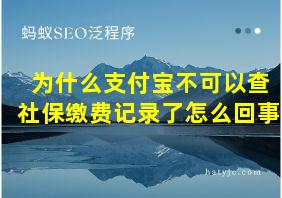 为什么支付宝不可以查社保缴费记录了怎么回事