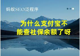 为什么支付宝不能查社保余额了呀