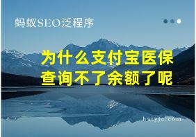 为什么支付宝医保查询不了余额了呢