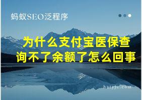 为什么支付宝医保查询不了余额了怎么回事