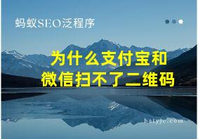 为什么支付宝和微信扫不了二维码