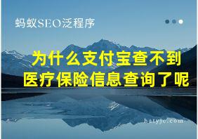 为什么支付宝查不到医疗保险信息查询了呢