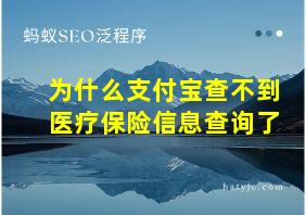 为什么支付宝查不到医疗保险信息查询了