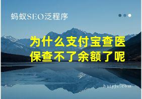 为什么支付宝查医保查不了余额了呢