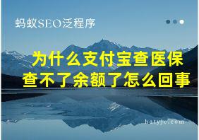 为什么支付宝查医保查不了余额了怎么回事