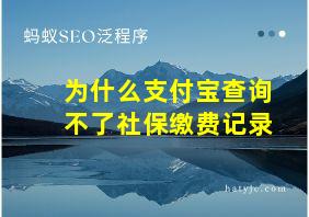 为什么支付宝查询不了社保缴费记录