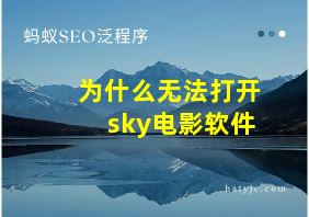 为什么无法打开sky电影软件