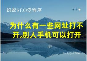 为什么有一些网址打不开,别人手机可以打开