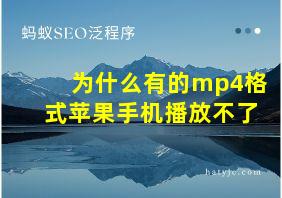 为什么有的mp4格式苹果手机播放不了