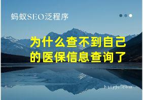 为什么查不到自己的医保信息查询了