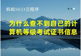 为什么查不到自己的计算机等级考试证书信息