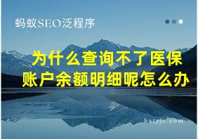 为什么查询不了医保账户余额明细呢怎么办