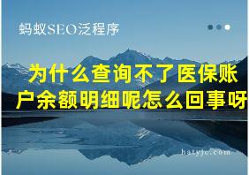 为什么查询不了医保账户余额明细呢怎么回事呀