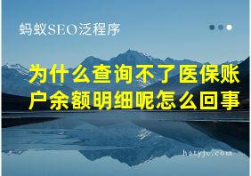 为什么查询不了医保账户余额明细呢怎么回事