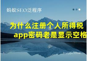 为什么注册个人所得税app密码老是显示空格