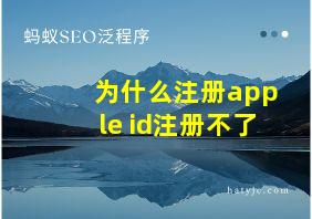 为什么注册apple id注册不了