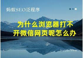 为什么浏览器打不开微信网页呢怎么办