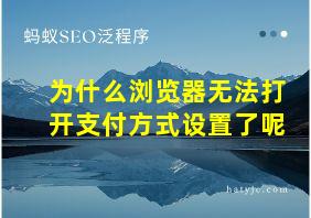 为什么浏览器无法打开支付方式设置了呢