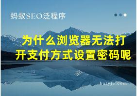 为什么浏览器无法打开支付方式设置密码呢