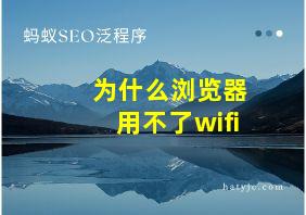 为什么浏览器用不了wifi