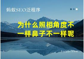 为什么照相角度不一样鼻子不一样呢