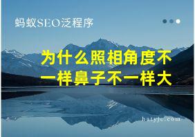 为什么照相角度不一样鼻子不一样大