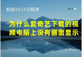 为什么爱奇艺下载的视频电脑上没有画面显示