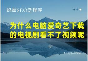 为什么电脑爱奇艺下载的电视剧看不了视频呢