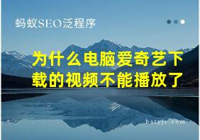 为什么电脑爱奇艺下载的视频不能播放了