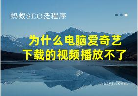 为什么电脑爱奇艺下载的视频播放不了