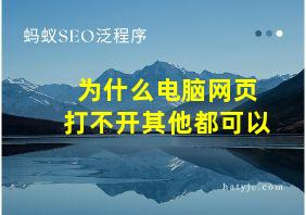 为什么电脑网页打不开其他都可以