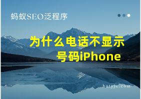 为什么电话不显示号码iPhone