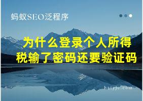 为什么登录个人所得税输了密码还要验证码