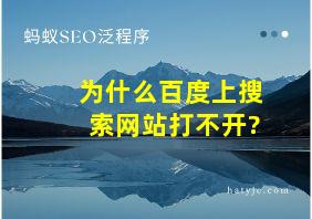 为什么百度上搜索网站打不开?