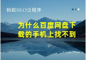 为什么百度网盘下载的手机上找不到