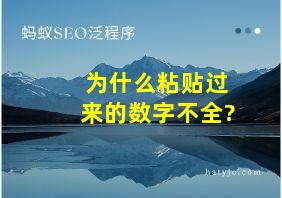 为什么粘贴过来的数字不全?