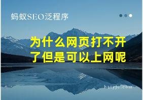 为什么网页打不开了但是可以上网呢