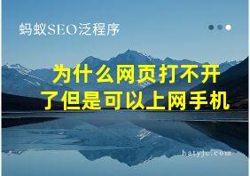 为什么网页打不开了但是可以上网手机