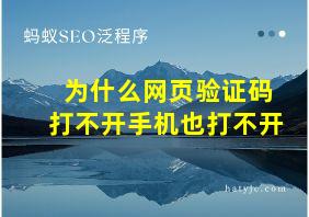 为什么网页验证码打不开手机也打不开