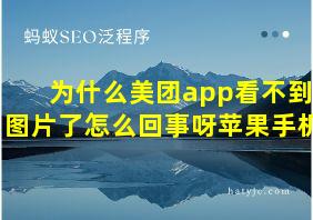 为什么美团app看不到图片了怎么回事呀苹果手机