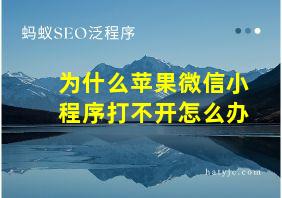 为什么苹果微信小程序打不开怎么办