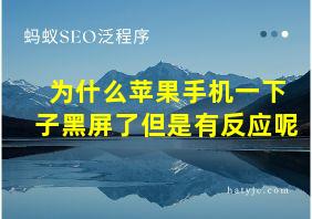 为什么苹果手机一下子黑屏了但是有反应呢