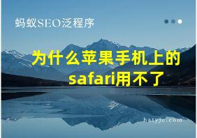 为什么苹果手机上的safari用不了