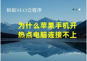 为什么苹果手机开热点电脑连接不上