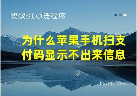 为什么苹果手机扫支付码显示不出来信息