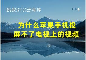 为什么苹果手机投屏不了电视上的视频